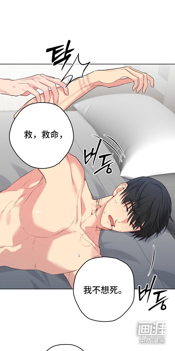 第66话19