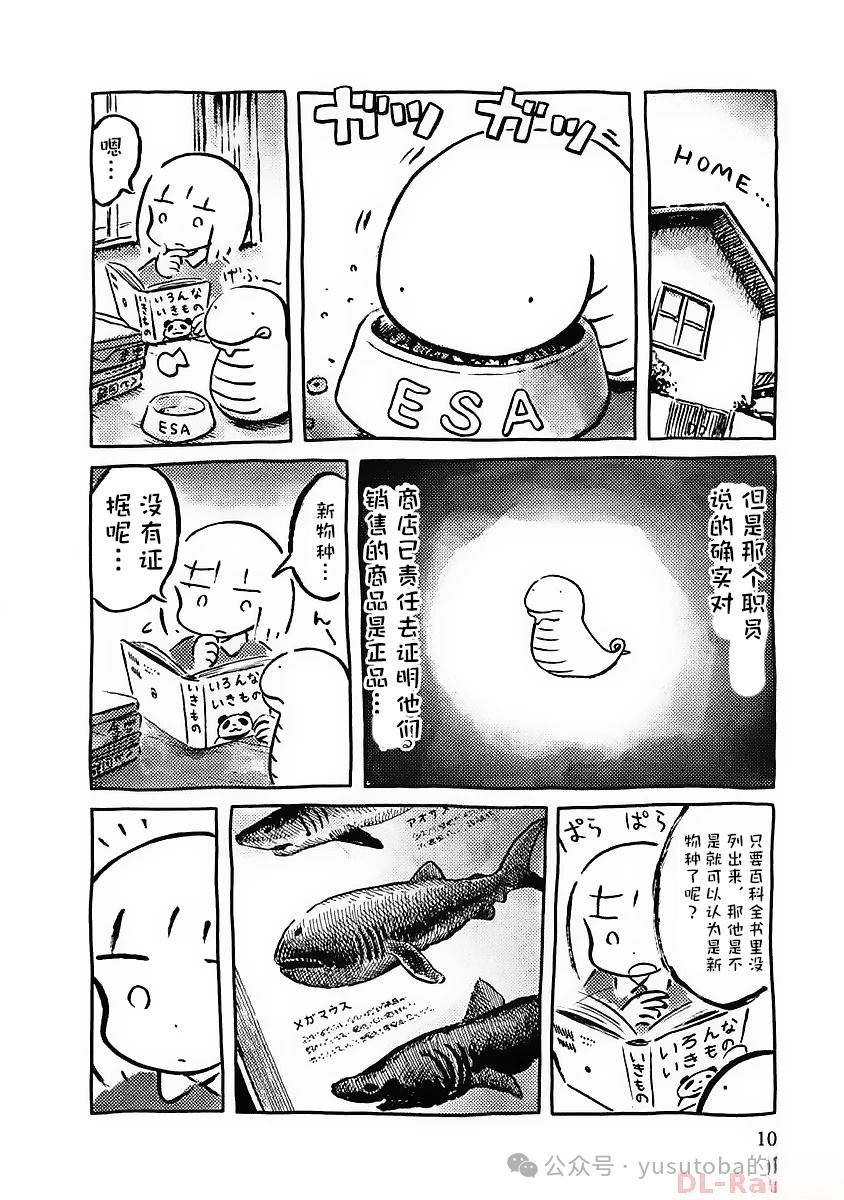 发现土槌蛇5
