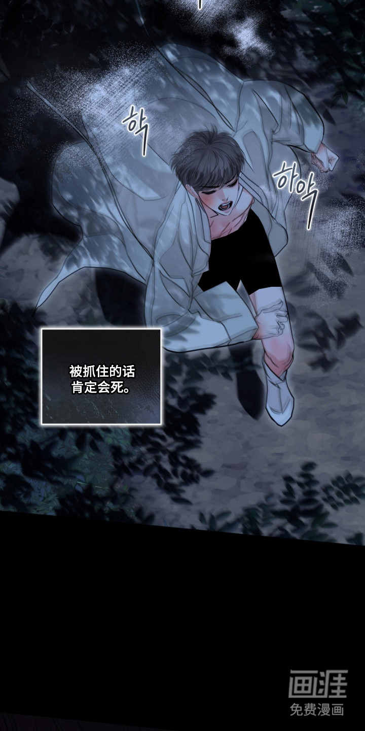 第84话 第17页