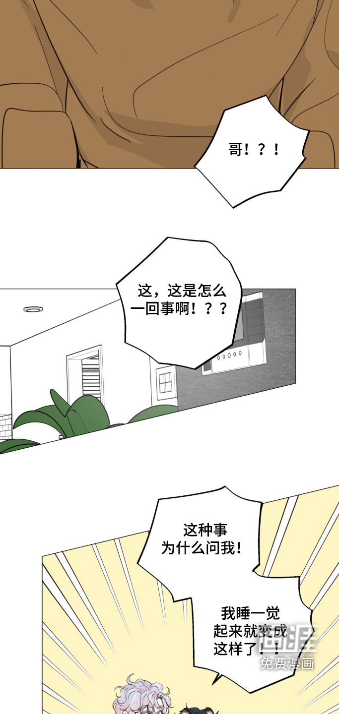 第28话 第7页