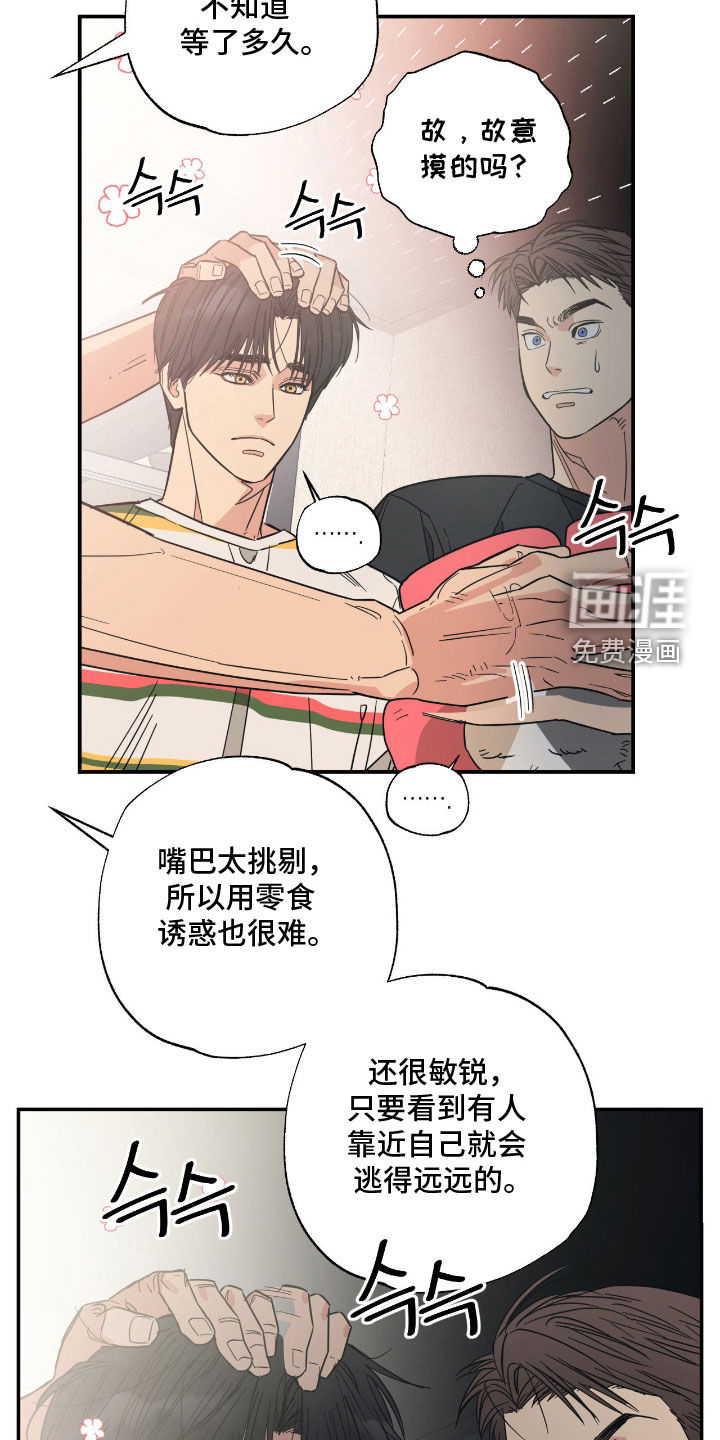 第19话 第8页