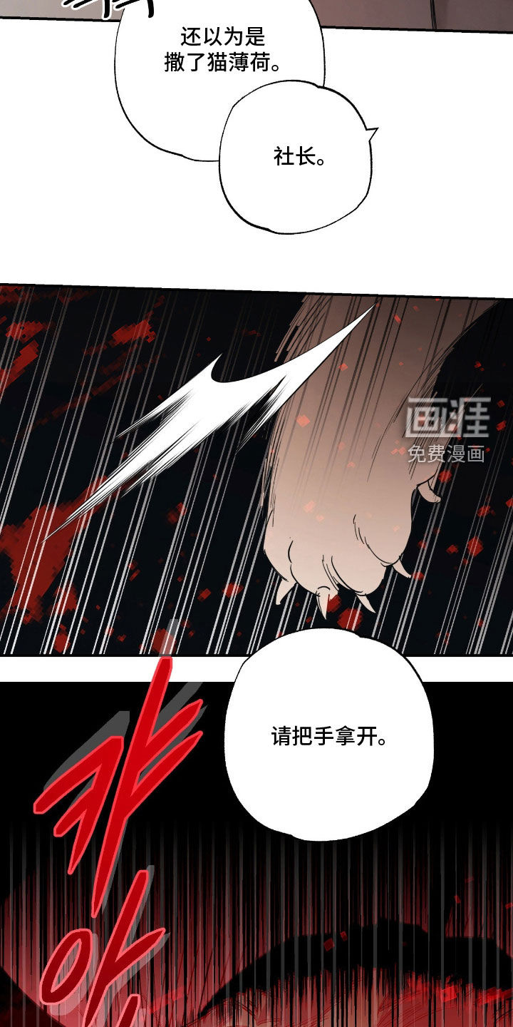 第19话 第10页