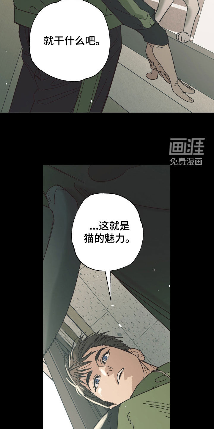 第17话 第19页