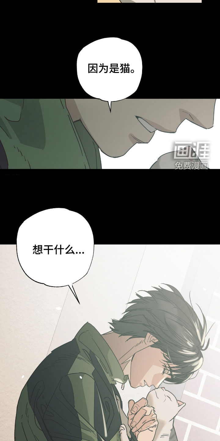 第17话 第17页