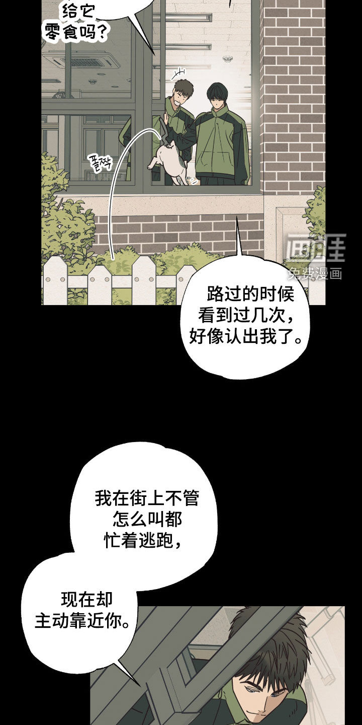 第17话 第15页