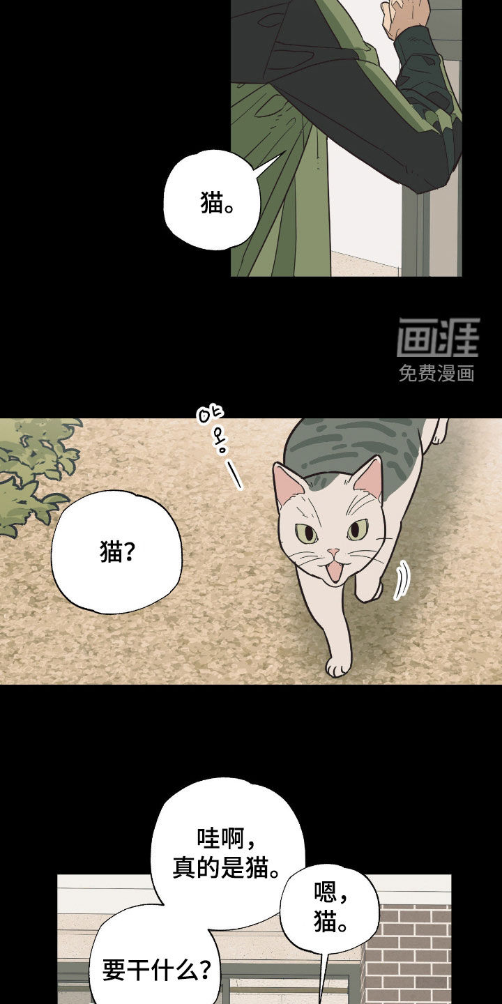 第17话 第14页
