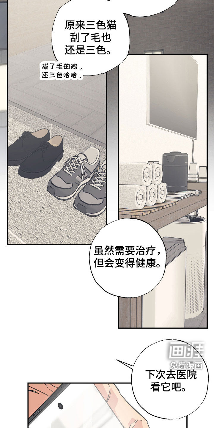 第16话 第6页