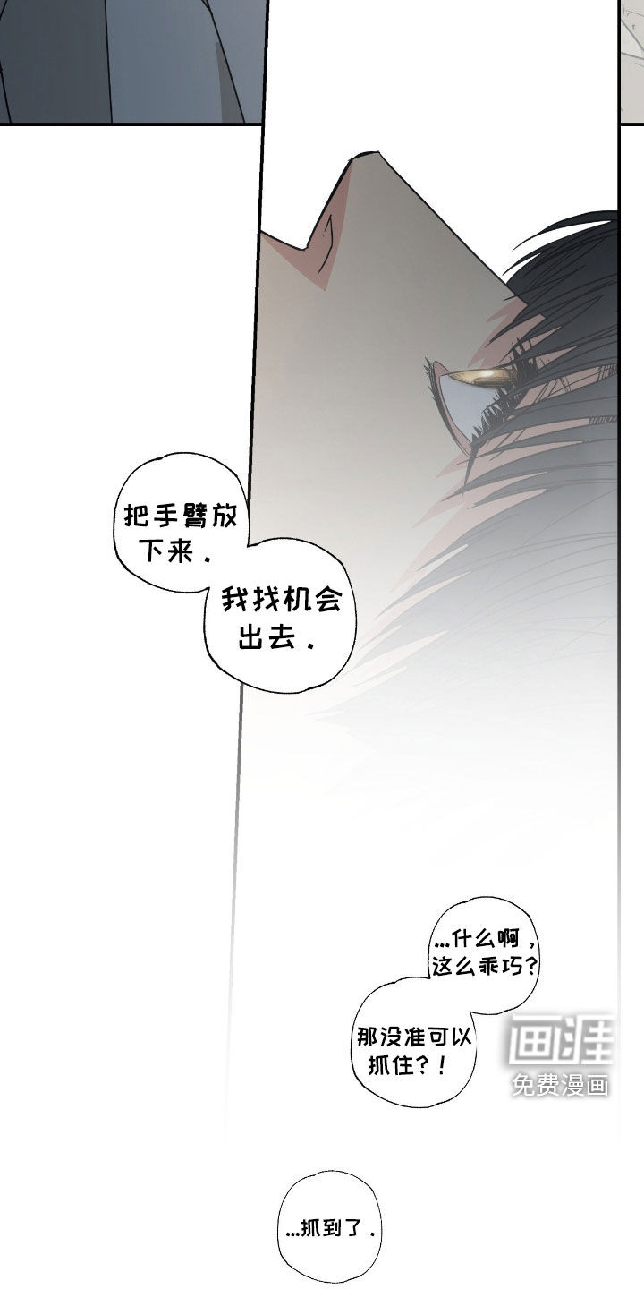 第16话 第4页
