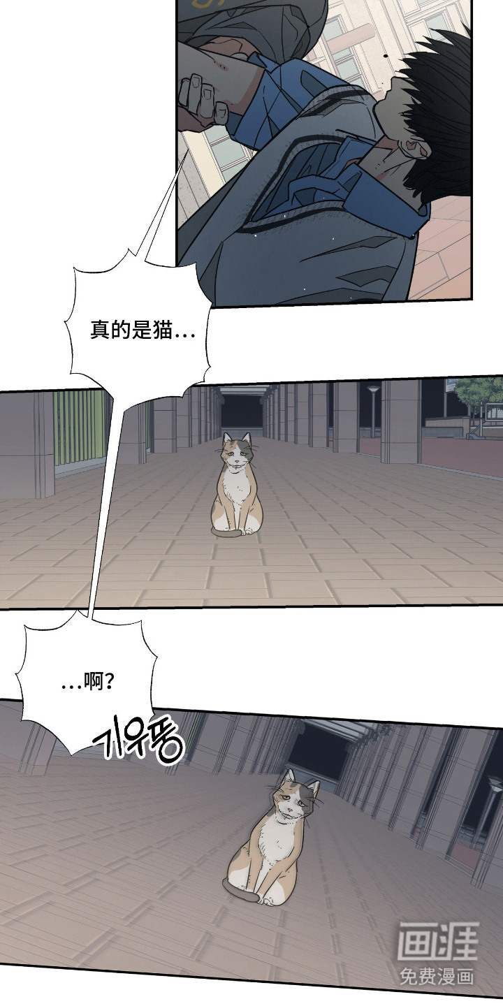 第14话 第14页