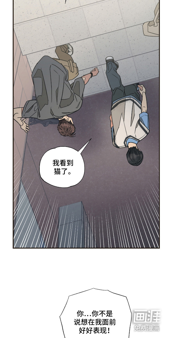第14话 第10页