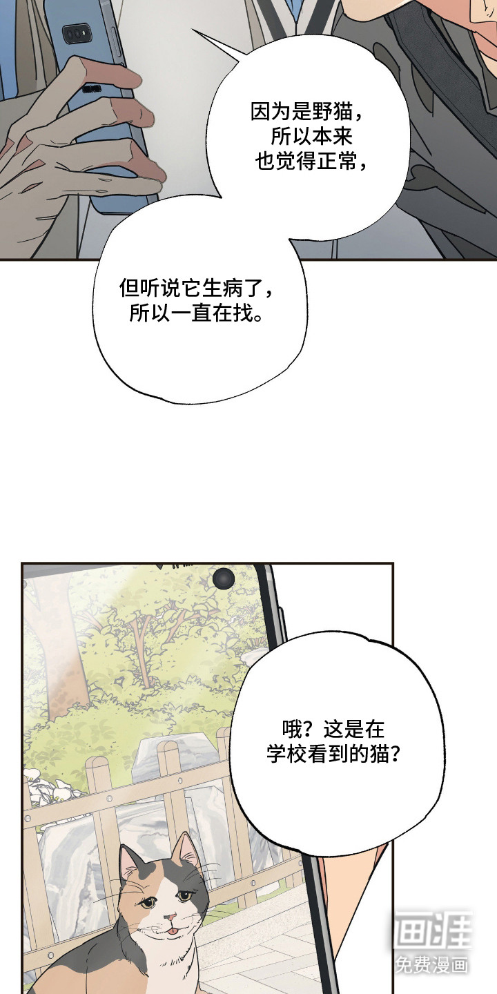第13话 第8页
