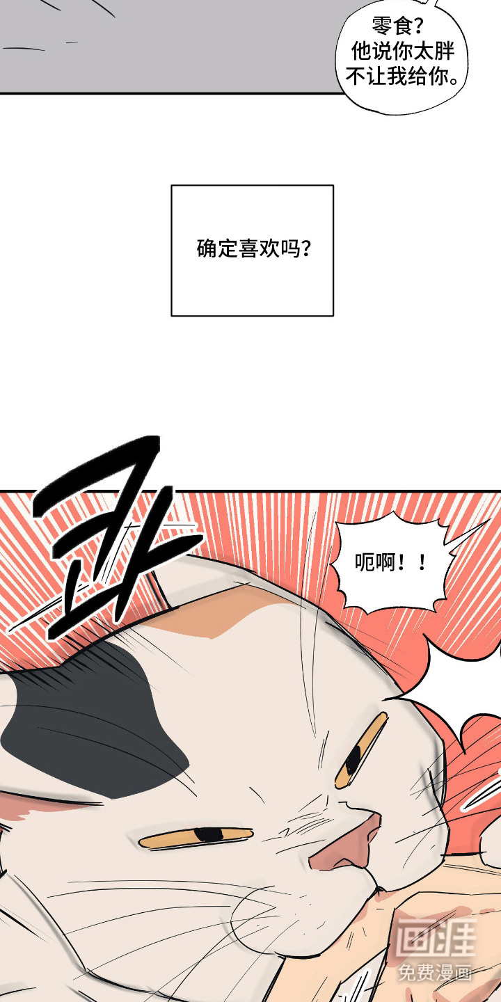 第11话 第3页