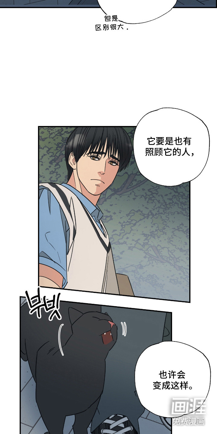 第11话 第13页