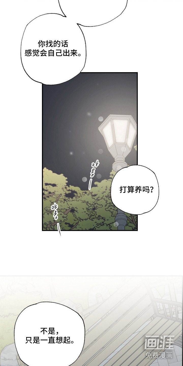 第11话 第11页