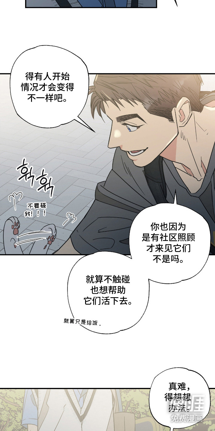 第11话 第17页