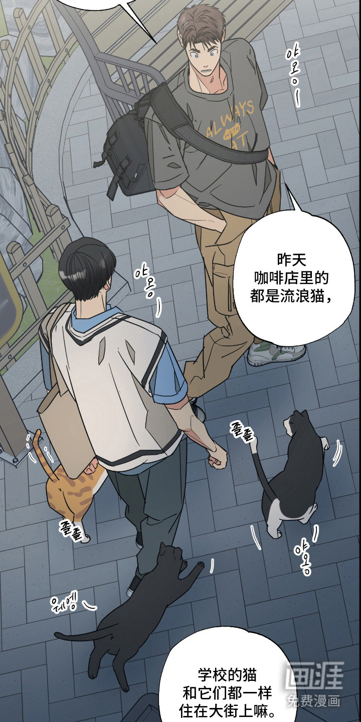 第11话 第12页