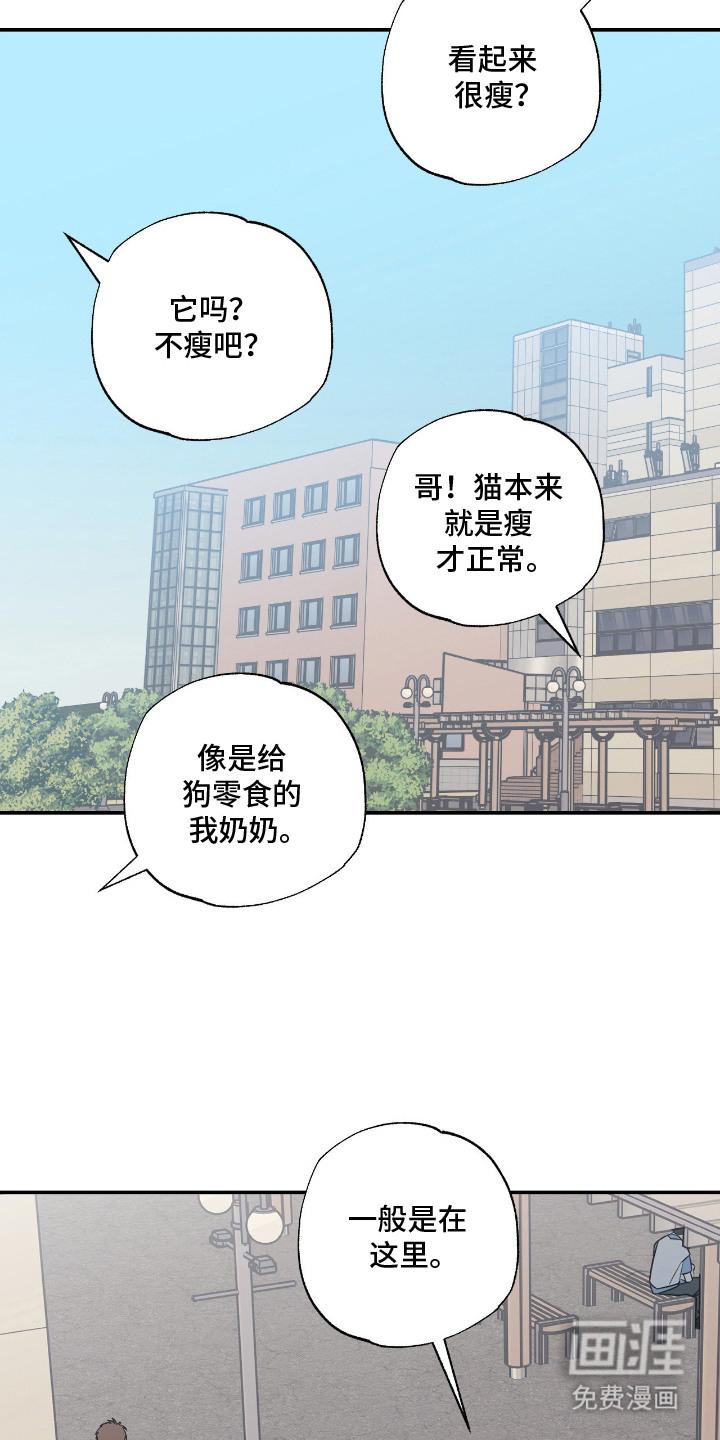第9话 第19页