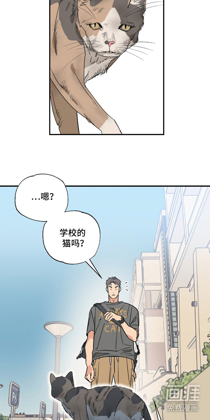 第9话 第14页