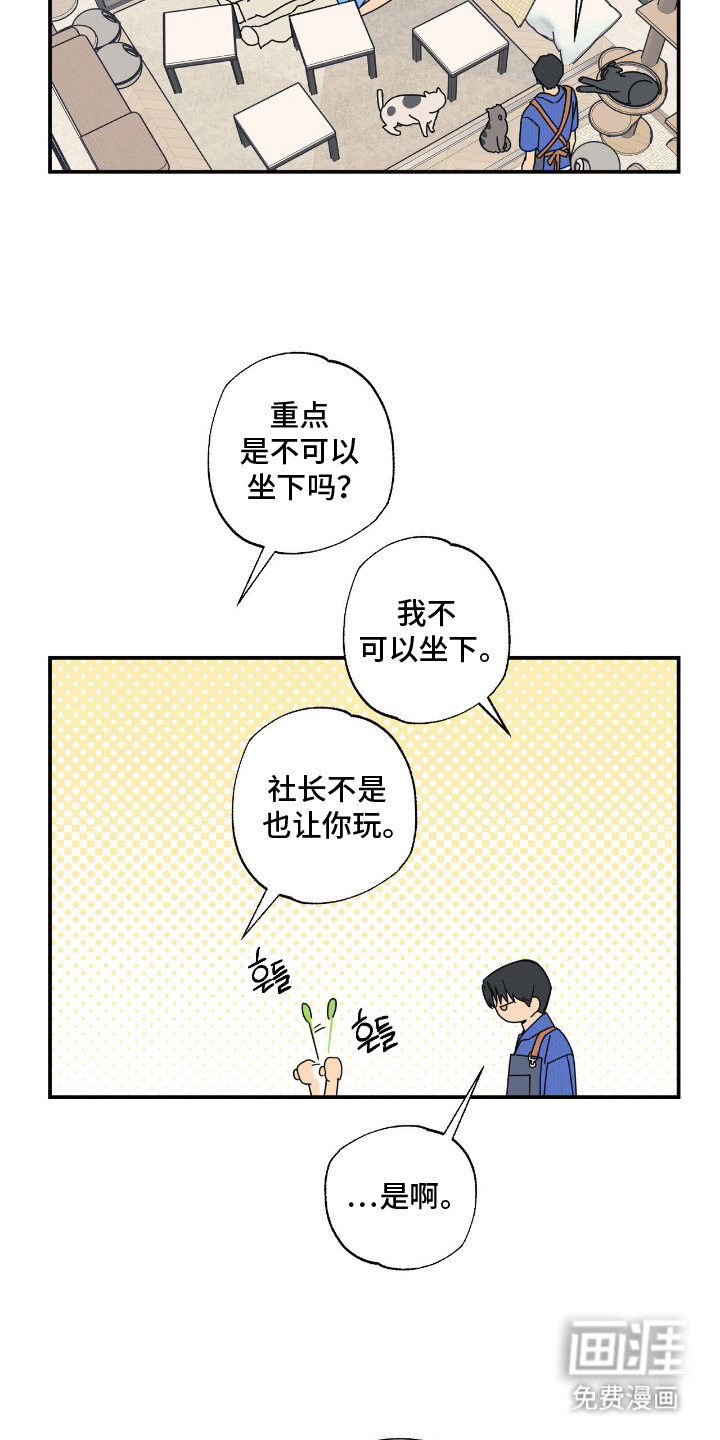 第7话 第6页