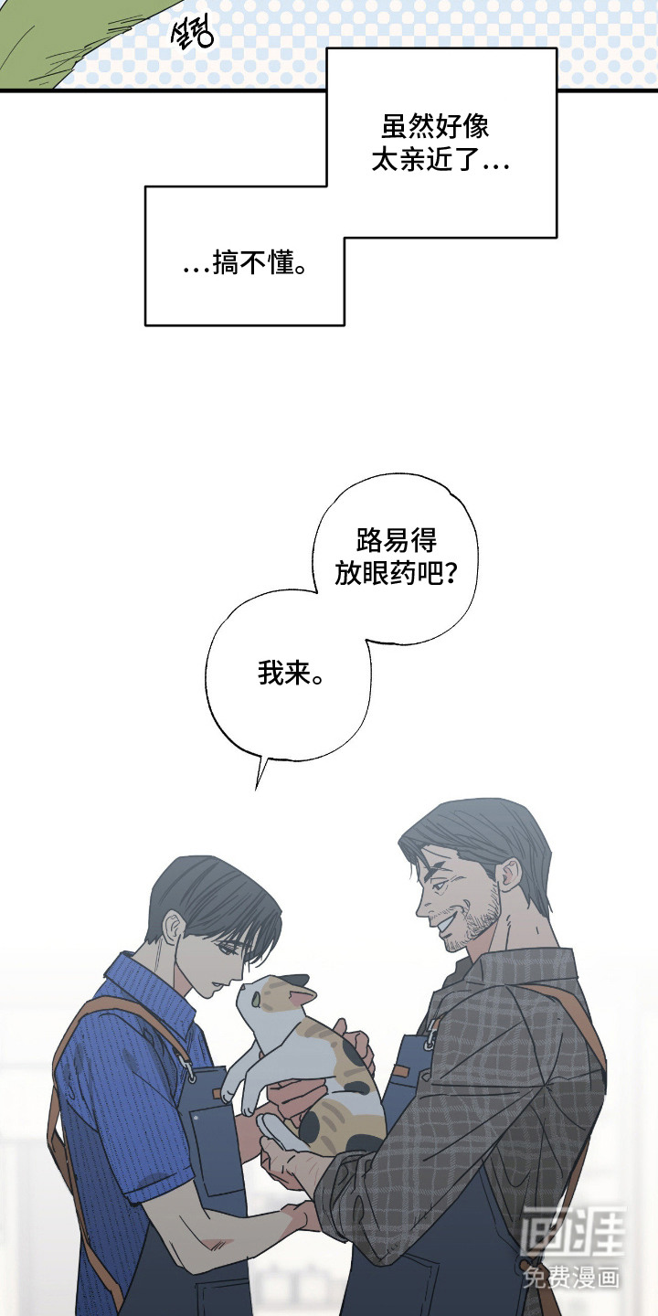 第6话 第11页
