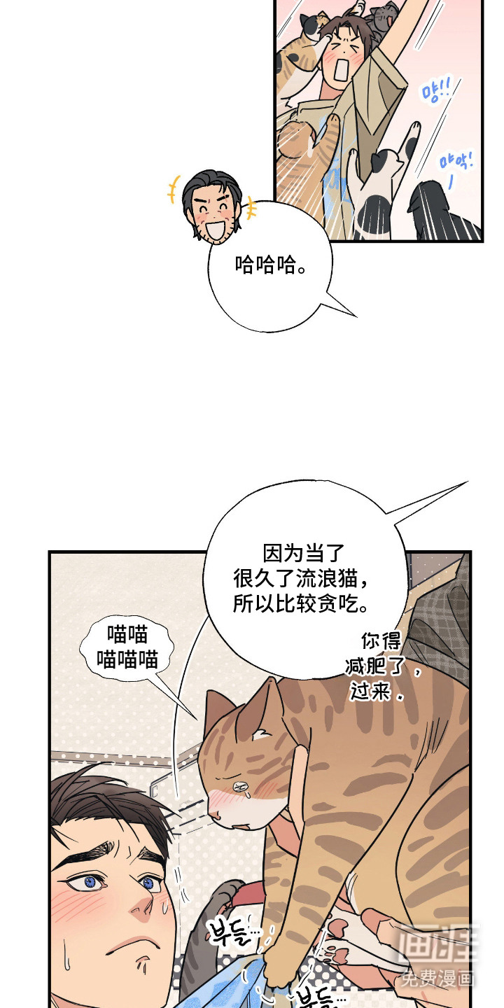 第6话 第19页