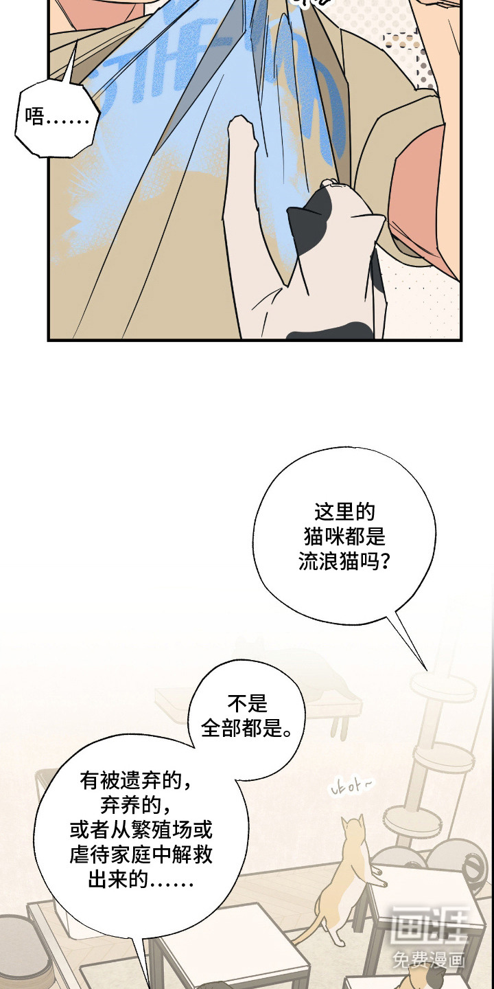 第6话 第20页
