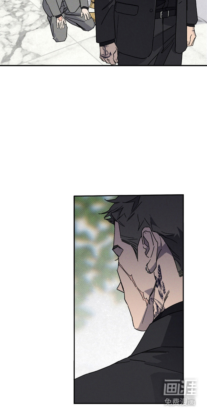第164话17