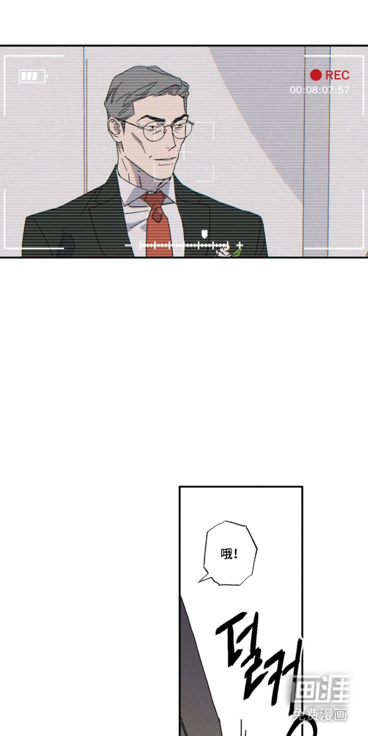 第161话11