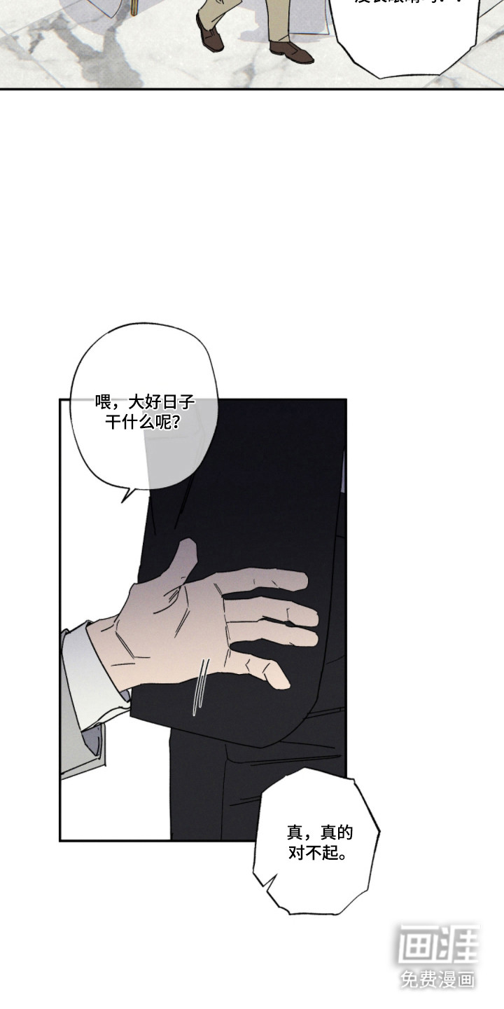 第161话13