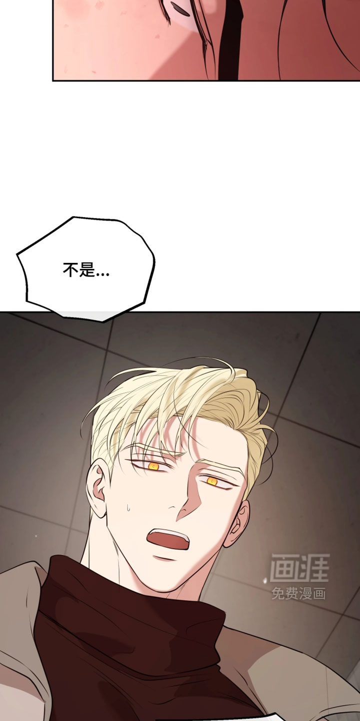 第50话12