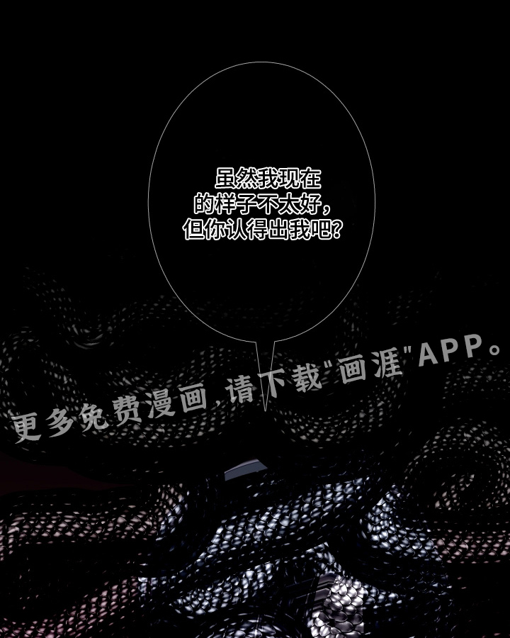 第243话0