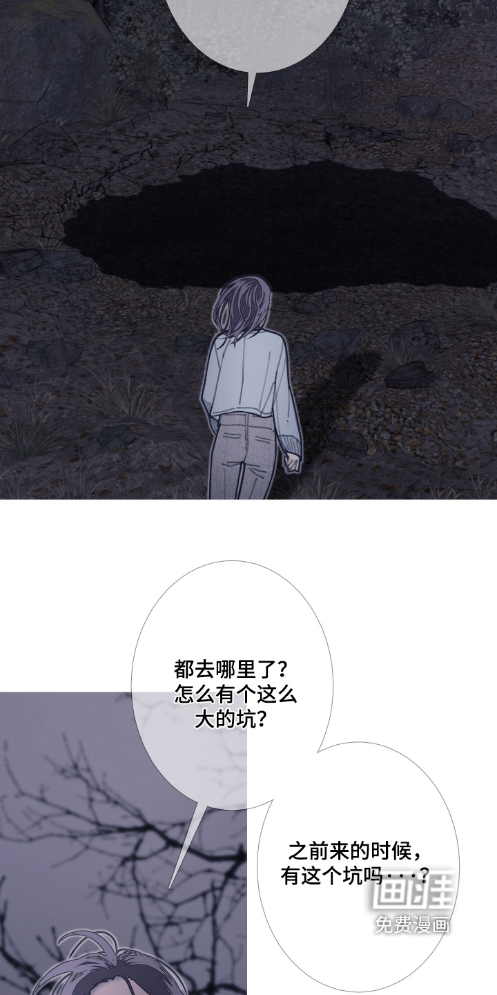 第242话14