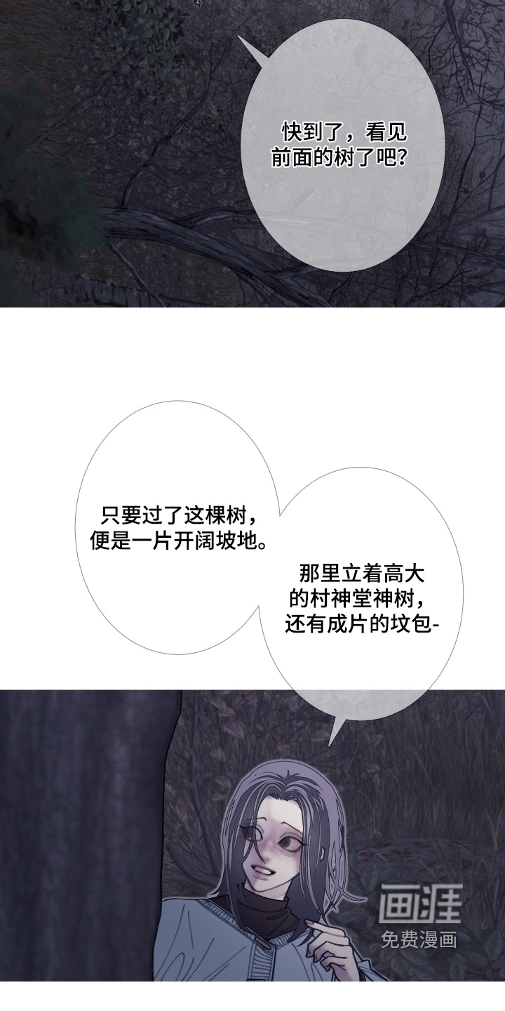 第242话12