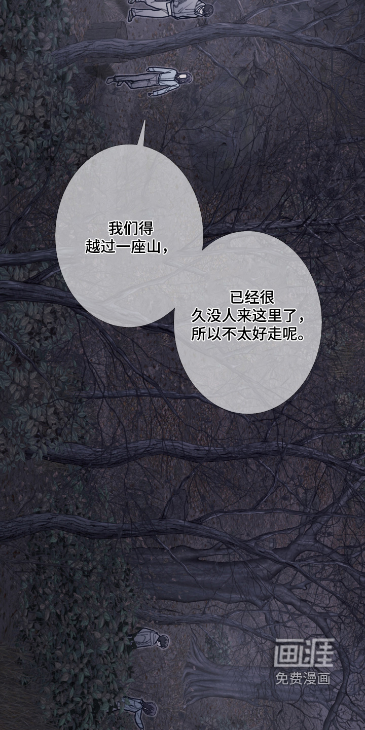 第242话11