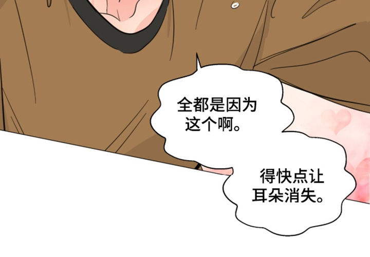 第29话 第19页