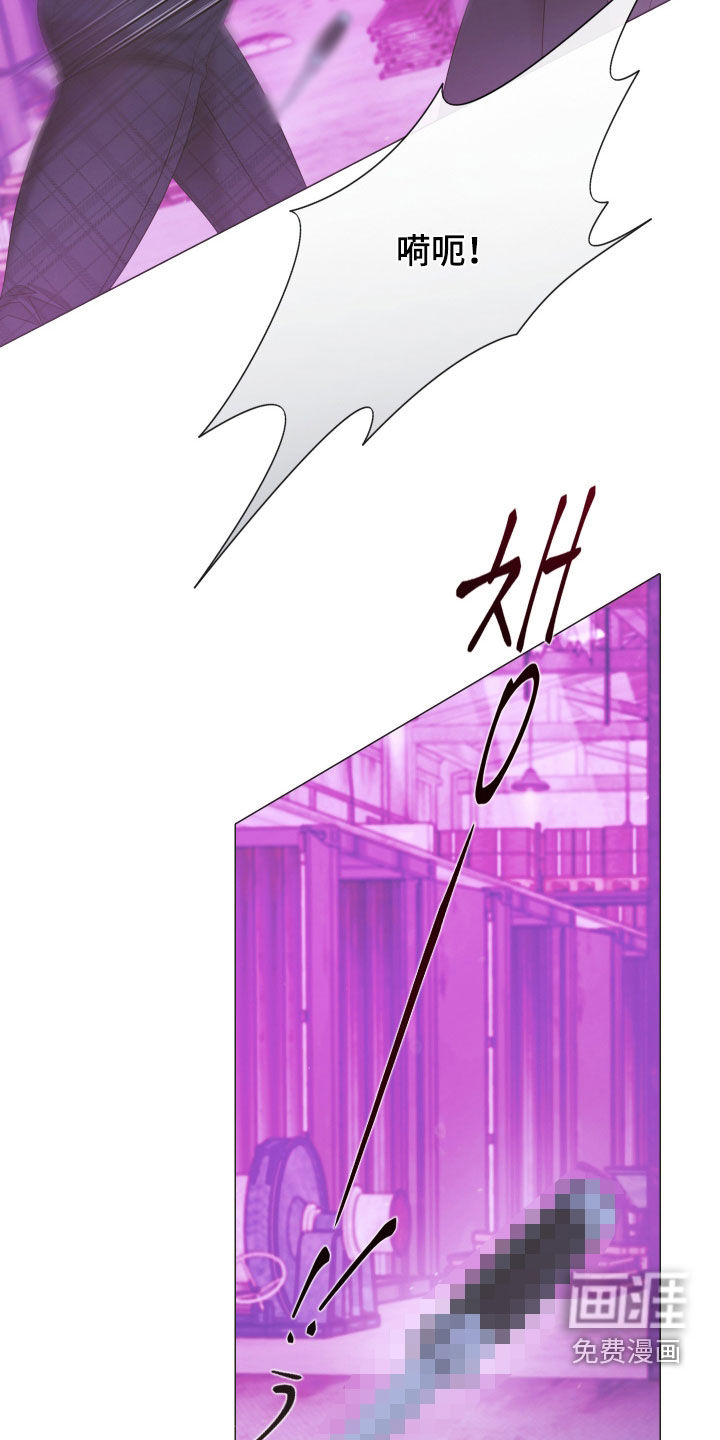 第148话5