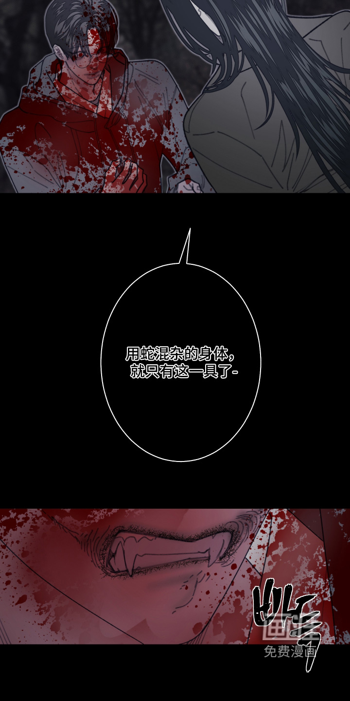 第244话3