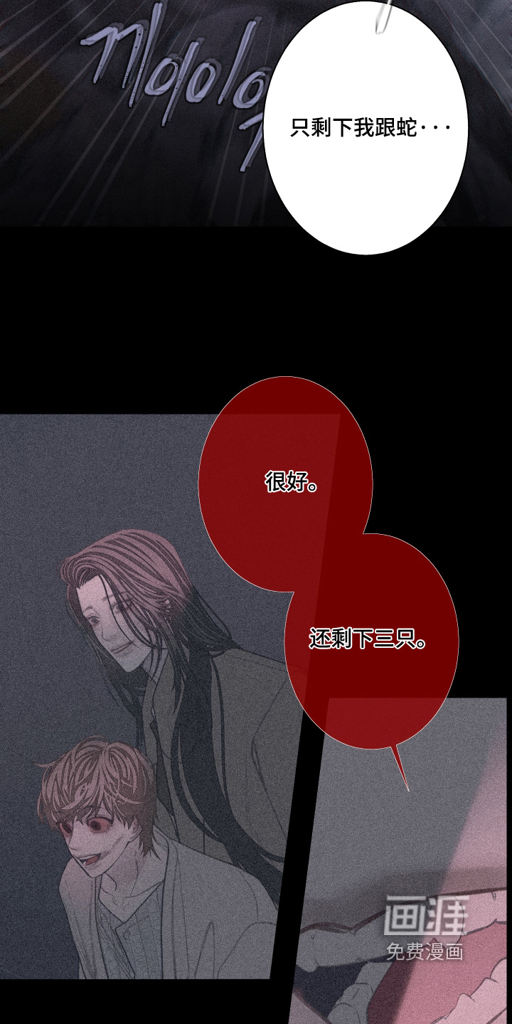 第244话11