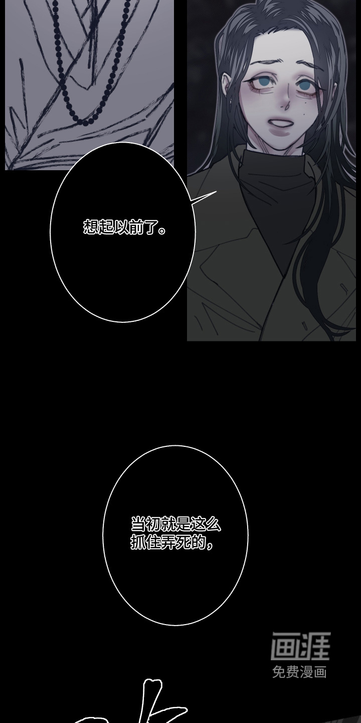 第244话24