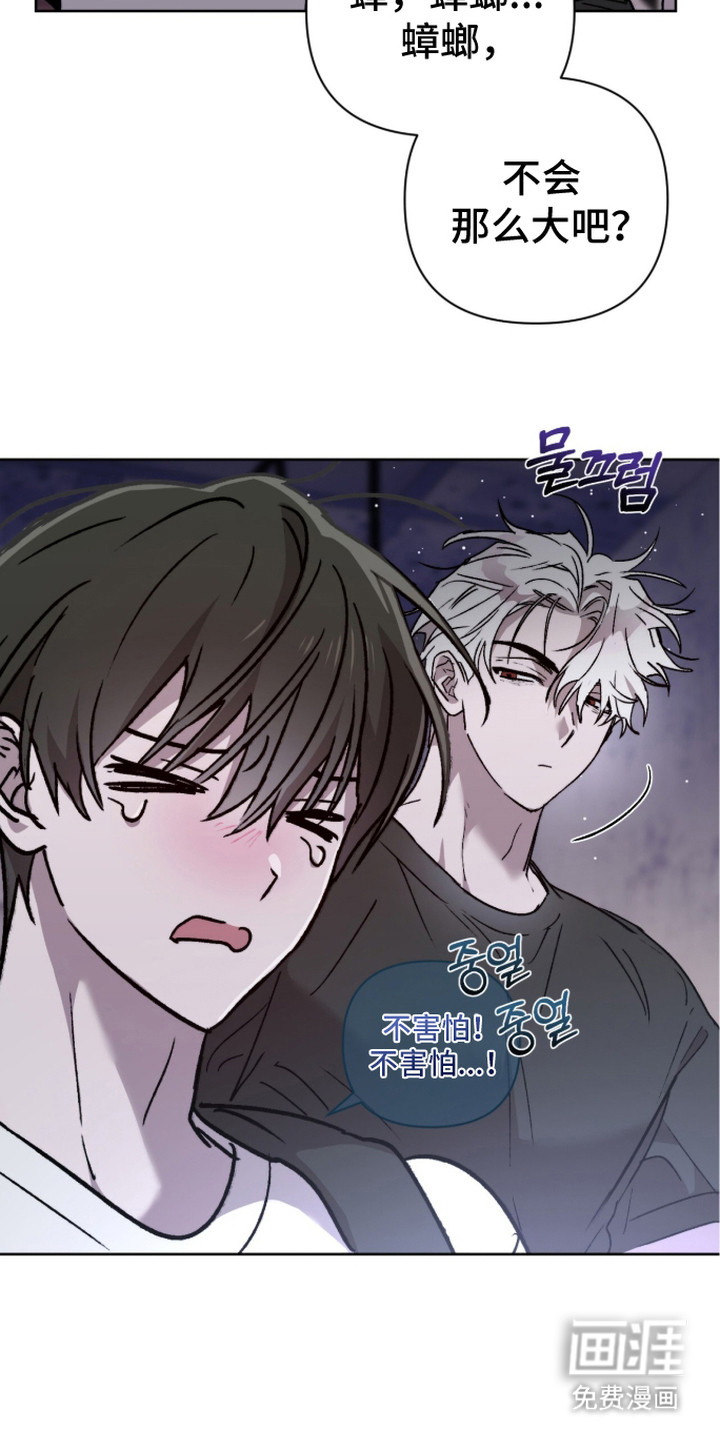 第17话 第4页