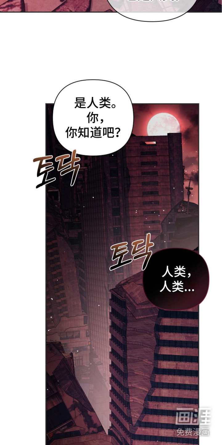 第7话 第19页