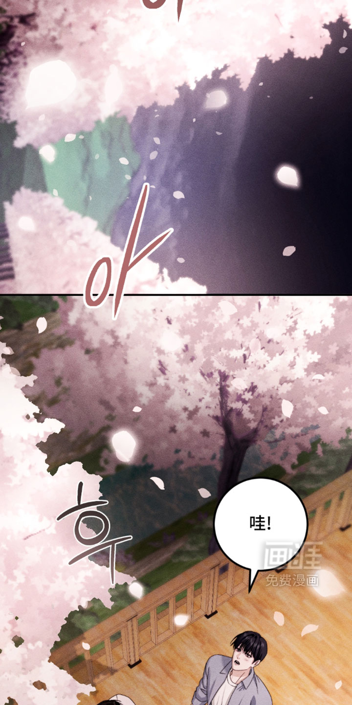 第41话13
