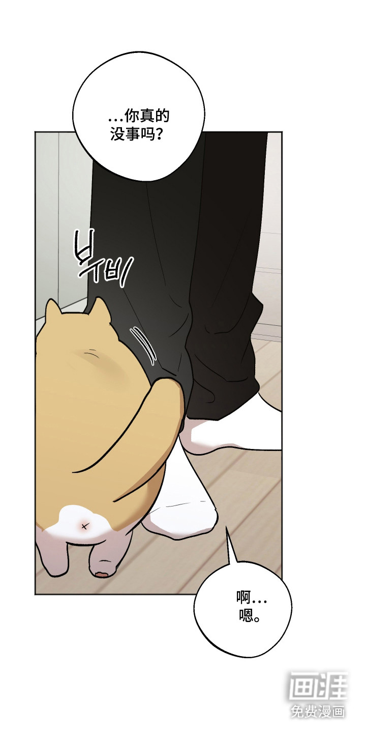 第95话17