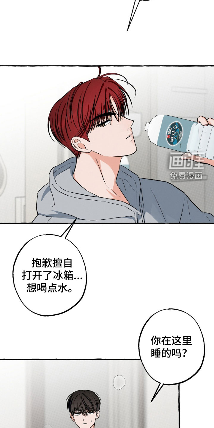 第41话 第5页
