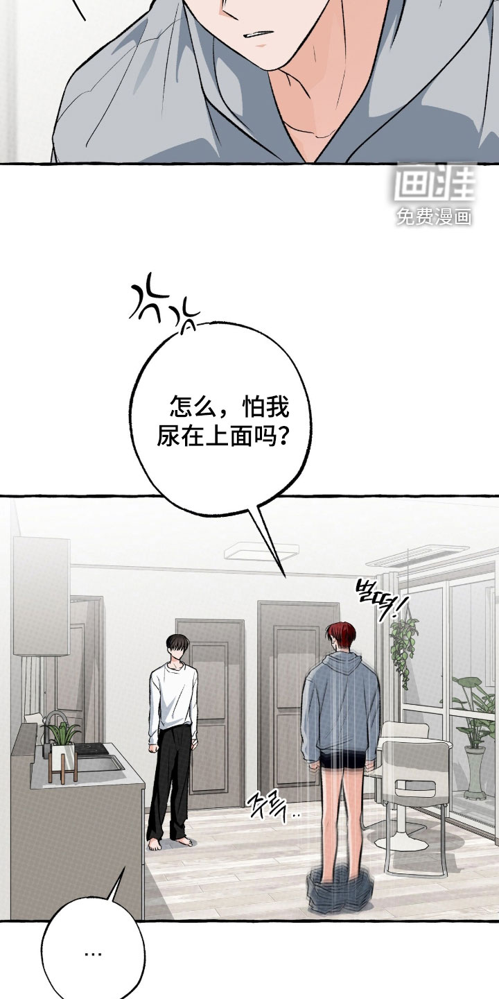 第41话 第20页