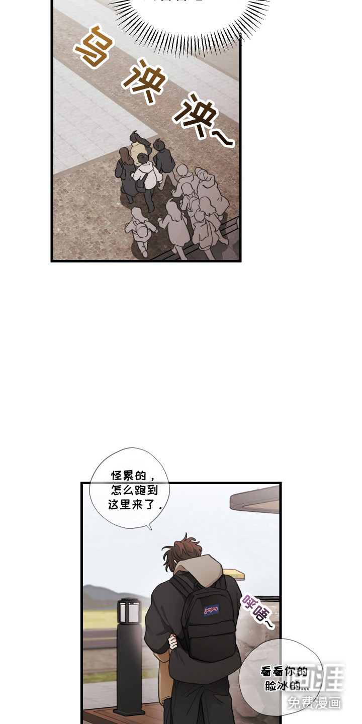 第176话12