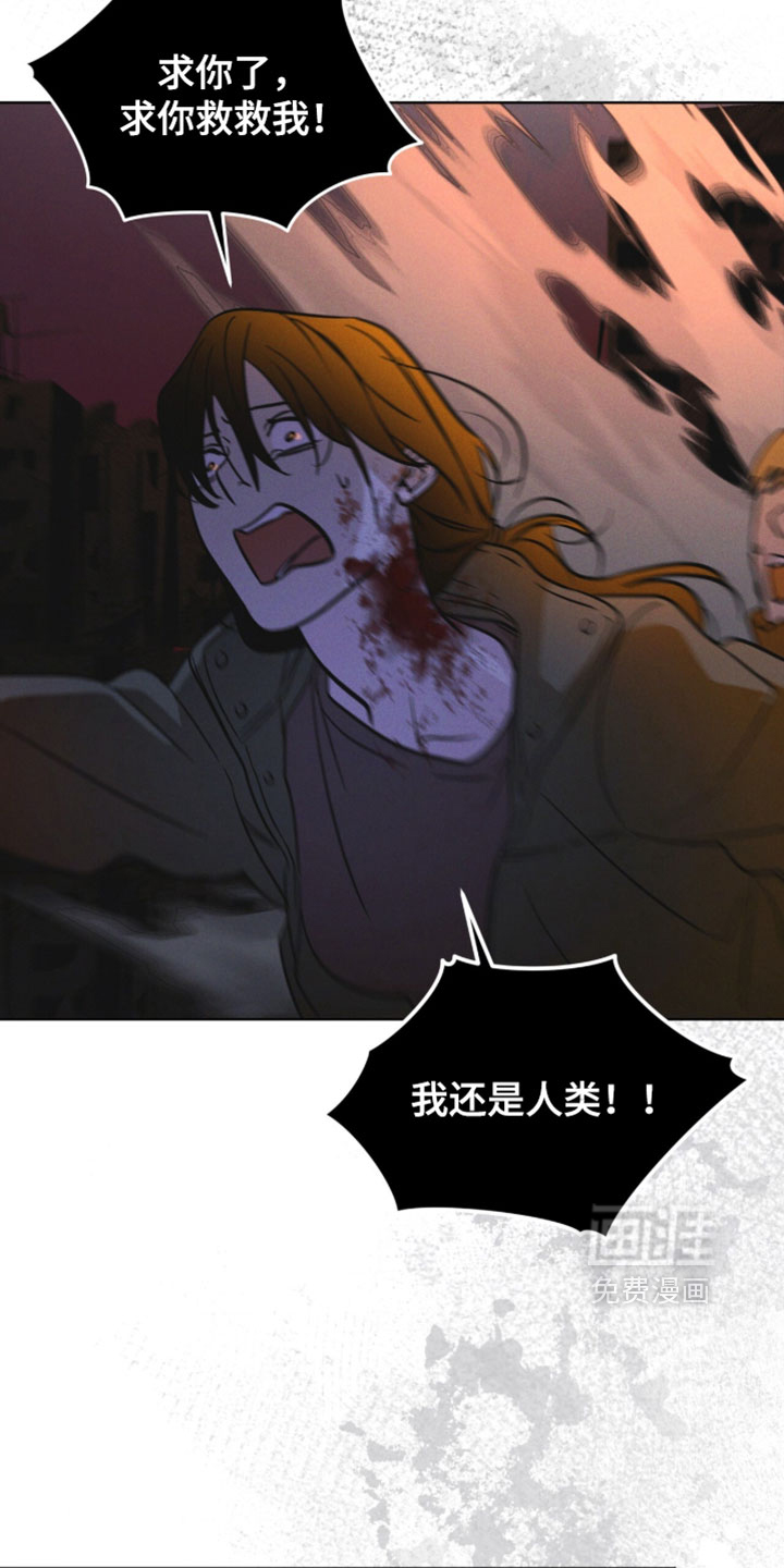 第192话 第17页