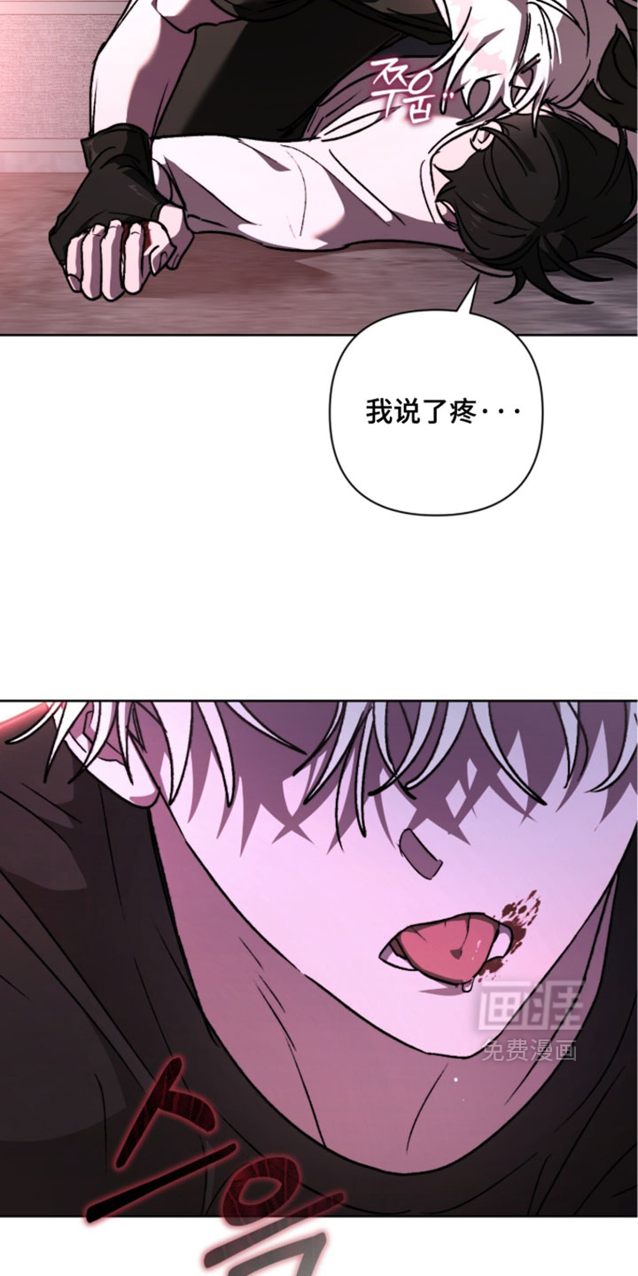 第26话 第29页