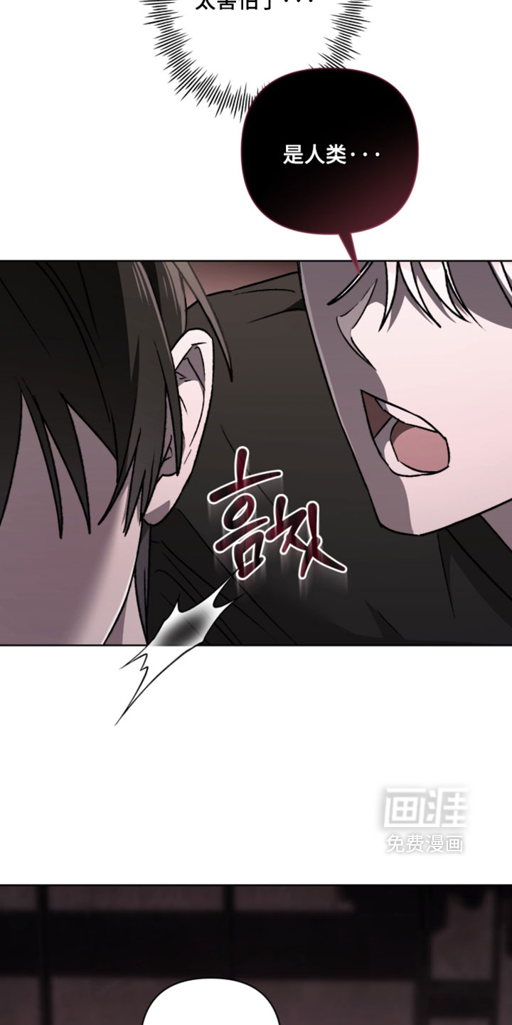 第25话 第20页