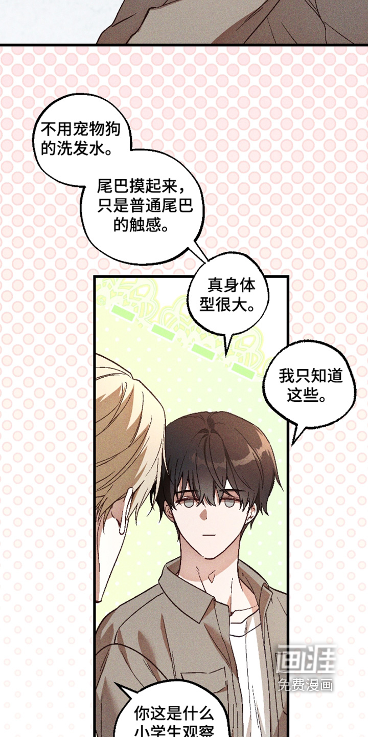 第67话 第15页